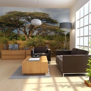 Fototapeta - W krainie Samburu, Kenia