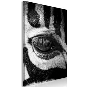 Obraz - Oko zebry (1-częściowy) pionowy