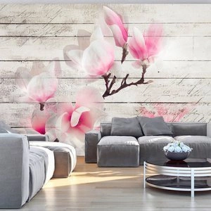 Fototapeta - Delikatność Magnolii