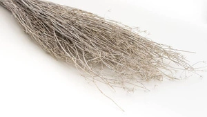 Trawa ozdobna 60-65cm bielona boho