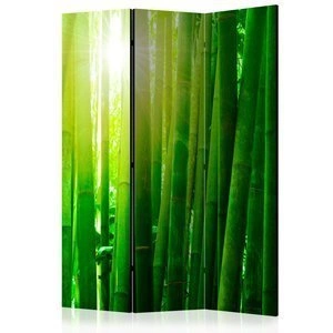 Parawan 3-częściowy - Słońce i bambus [Room Dividers]