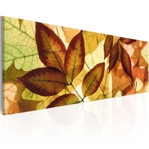 Obraz - kolaż - liście