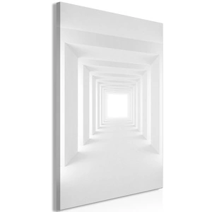 Obraz - Tunel cieni (1-częściowy) pionowy