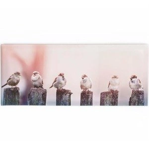 Obraz Poranek 41-545