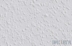 Tapeta ścienna Erfurt Vanessa Raufaza