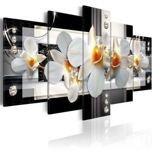 Obraz - Słoneczne orchidee