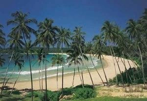 Fototapeta Cottegoda Bay 8-252