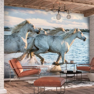 Fototapeta - Dziki wyścig