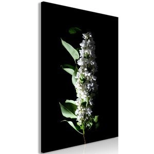 Obraz - Białe bzy (1-częściowy) pionowy