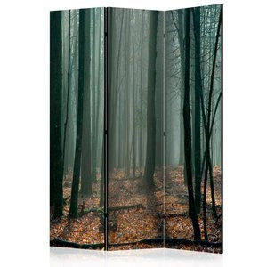 Parawan 3-częściowy - Witches' forest [Room Dividers]