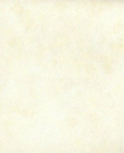 Tapeta ścienna York Wallcoverings TN0006 Textures & Prints