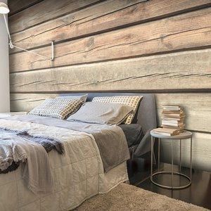 Fototapeta - Stara sosna