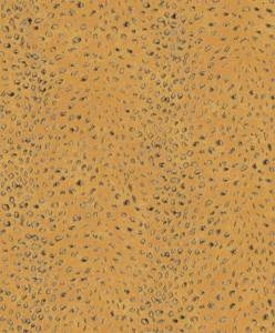 Tapeta ścienna Khroma CAB804 Cabinet of Curiosities