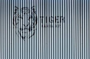 Fototapeta ścienna Tygrys na pasiastym tle V125-1