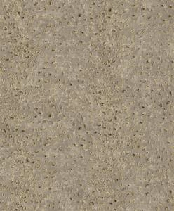 Tapeta ścienna Khroma CAB803 Cabinet of Curiosities