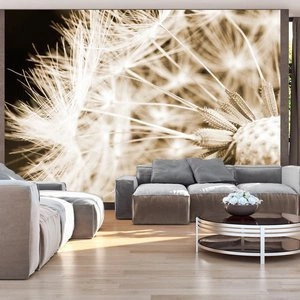 Fototapeta - Dmuchawiec - sepia