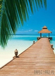 Fototapeta Paradise Beach 376