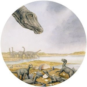 Fototapeta ścienna Young Titanosaurs DNG1-001