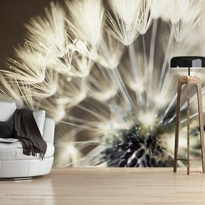 Fototapeta - Piękno letniego poranka