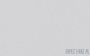 Tapeta ścienna Erfurt Mittel Weiß Raufaza