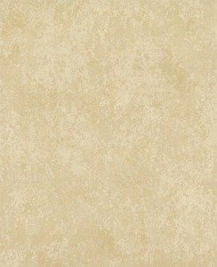 Tapeta ścienna York Wallcoverings TN0010 Textures & Prints