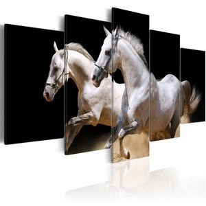 Obraz - Galop - wolność i moc