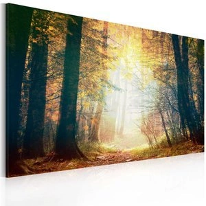 Obraz - Piękno jesieni