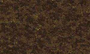 Tapeta ścienna Arte MO2053 Moooi - Extinct Animals