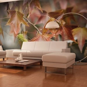 Fototapeta - Chestnut