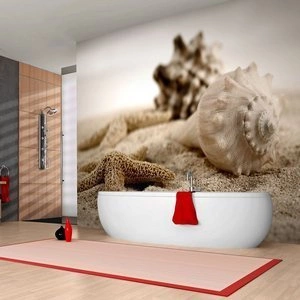 Fototapeta - Plaża i muszelka