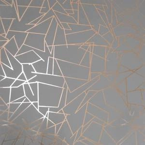 Tapeta ścienna Angles copper rose / zinc grey Erica Wakerly
