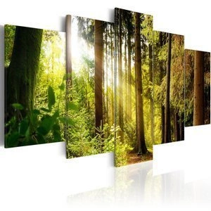 Obraz - Pieśń poranka