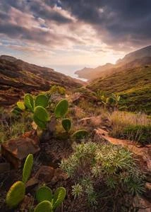 Fototapeta ścienna Warmes Licht SHX4-092