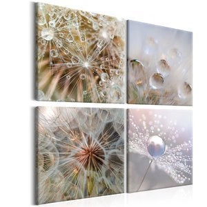 Obraz - Poranny blask