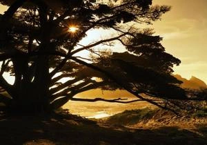 Fototapeta ścienna Perfect Moment IANGX8-020