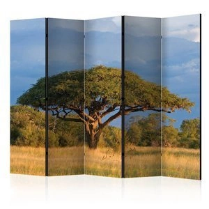 Parawan 5-częściowy - Afrykańska akacja - Park Narodowy Hwange, Zimbabwe II [Room Dividers]