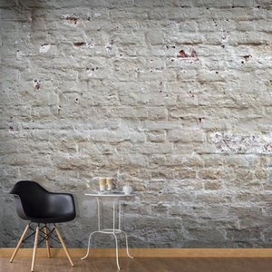 Fototapeta - Ukryta harmonia