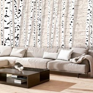 Fototapeta - Brzozowy gaj