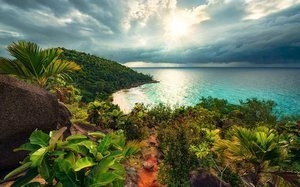 Fototapeta ścienna Garten der Versuchung SHX9-036