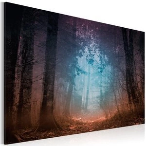 Obraz - Edge of the forest