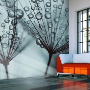 Fototapeta - Dmuchawiec w turkusie