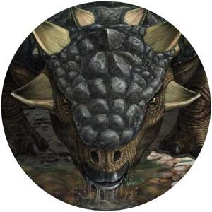 Fototapeta ścienna Tarchia DNG1-004