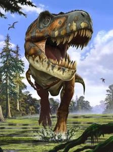 Fototapeta ścienna Tyrannosaurus Rex XXL2-532