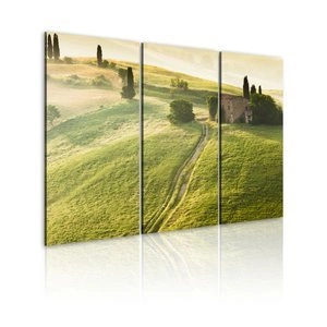 Obraz - Słońce nad Toskanią