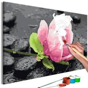 Obraz do samodzielnego malowania - Różowy kwiat i kamienie