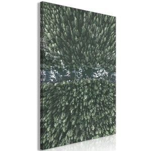 Obraz - Leśna rzeka (1-częściowy) pionowy