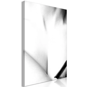 Obraz - Wdzięk (1-częściowy) pionowy