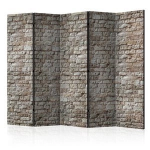 Parawan 5-częściowy - Rzeczywistość II [Room Dividers]