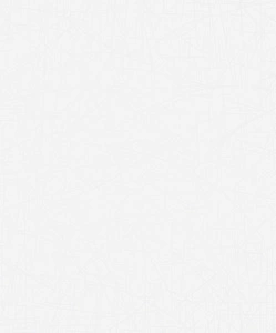 Tapeta ścienna Marburg 55624 Basic