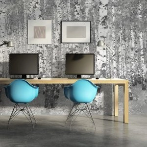 Fototapeta - Brzozowe zacisze